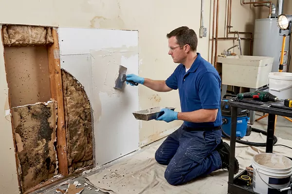 Mold and Drywall Repair Alvin