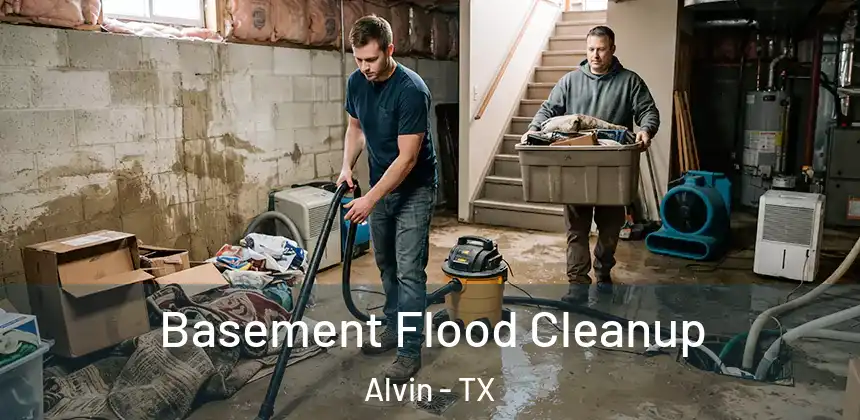  Basement Flood Cleanup Alvin - TX