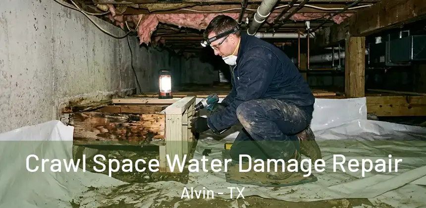  Crawl Space Water Damage Repair Alvin - TX
