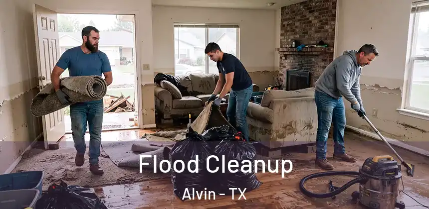  Flood Cleanup Alvin - TX