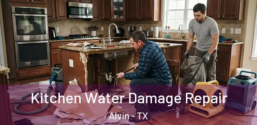  Kitchen Water Damage Repair Alvin - TX