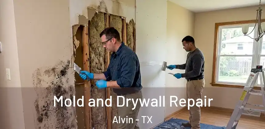  Mold and Drywall Repair Alvin - TX
