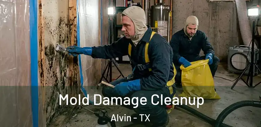  Mold Damage Cleanup Alvin - TX