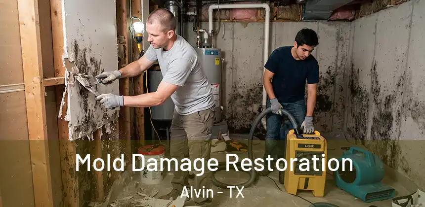  Mold Damage Restoration Alvin - TX