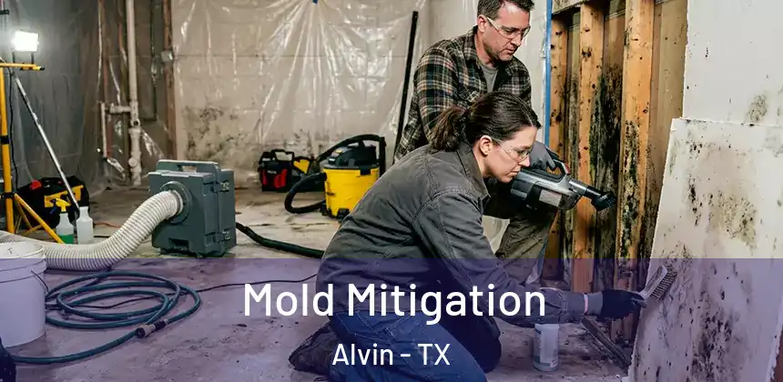  Mold Mitigation Alvin - TX
