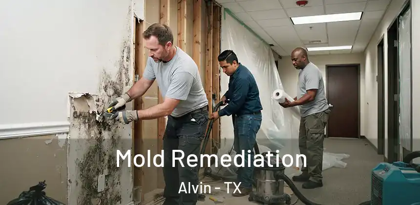  Mold Remediation Alvin - TX