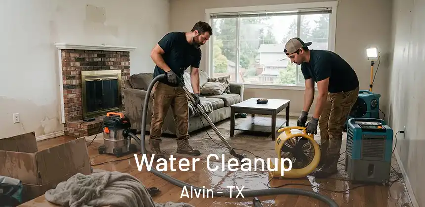  Water Cleanup Alvin - TX