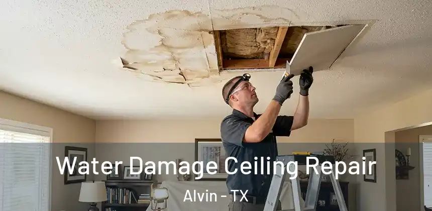  Water Damage Ceiling Repair Alvin - TX