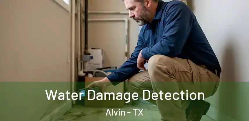  Water Damage Detection Alvin - TX