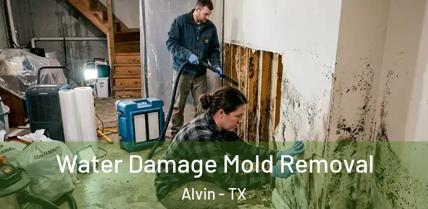  Water Damage Mold Removal Alvin - TX