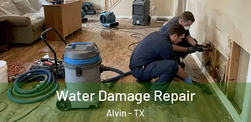  Water Damage Repair Alvin - TX