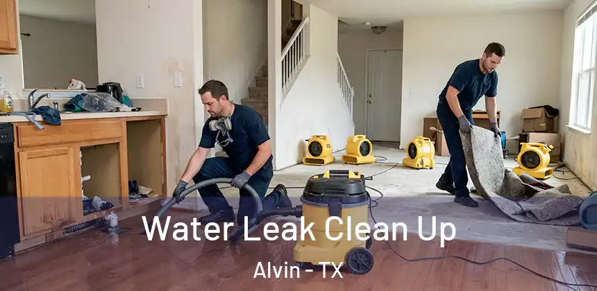 Water Leak Clean Up Alvin - TX