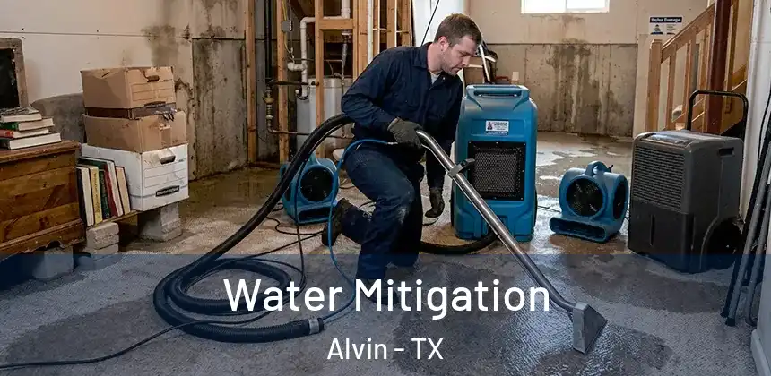  Water Mitigation Alvin - TX