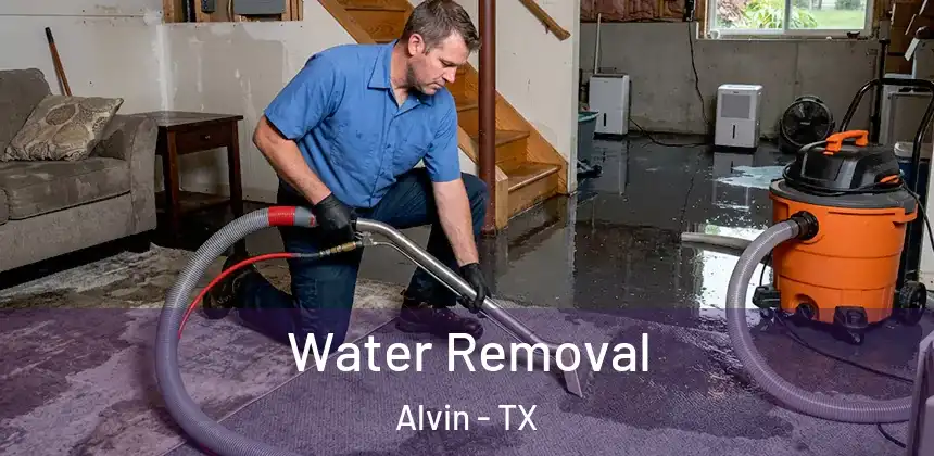  Water Removal Alvin - TX