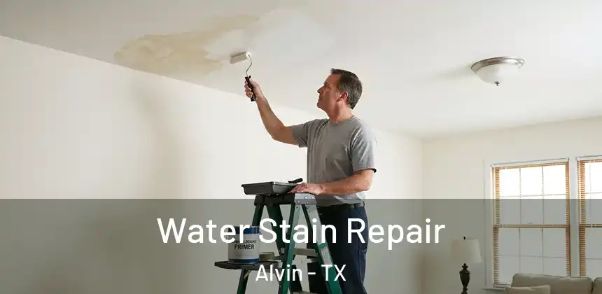  Water Stain Repair Alvin - TX
